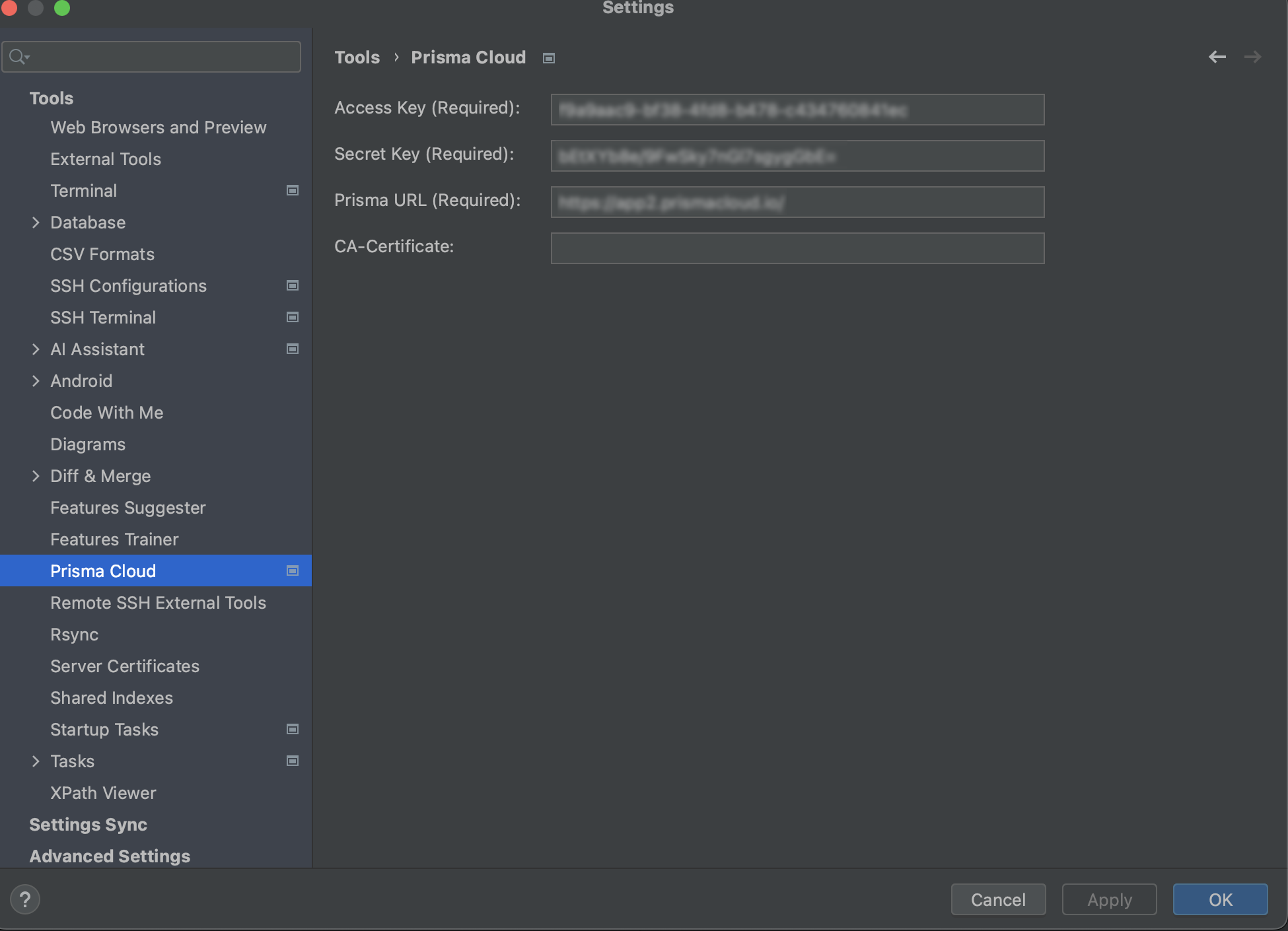 jetbrains settings config masked